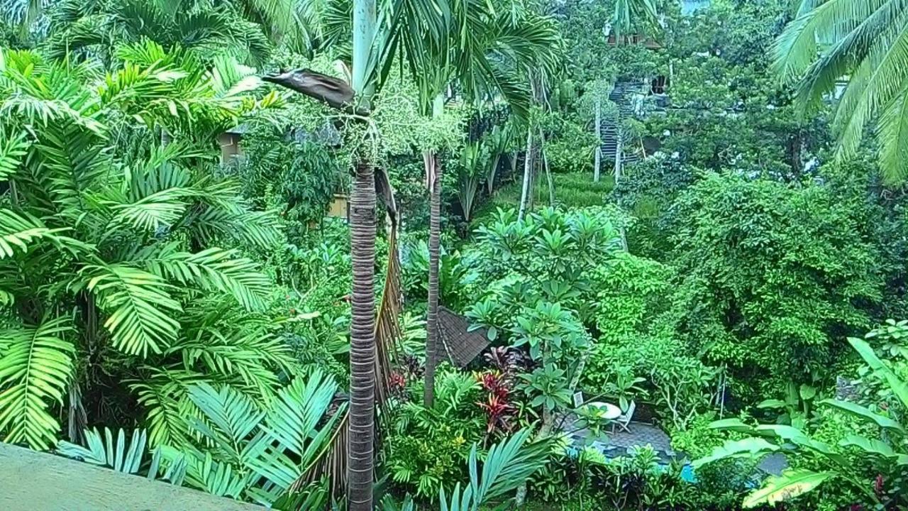 Sari Wangi Cottage Ubud Exteriör bild