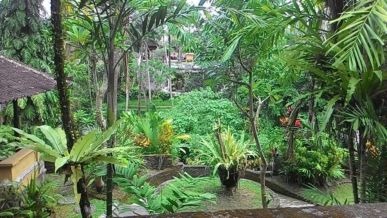 Sari Wangi Cottage Ubud Exteriör bild